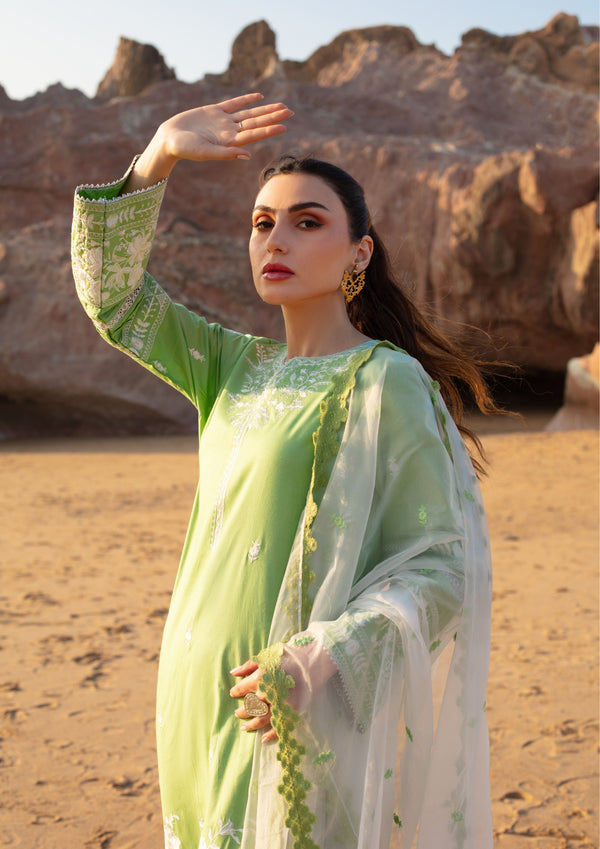 MINT BLUSH MEERAKI