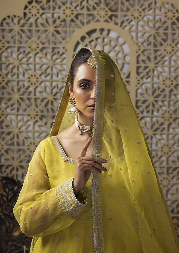 ZARAFSHAN MEERAKI