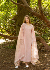 Rose Ash Chickenkari Suit MEERAKI