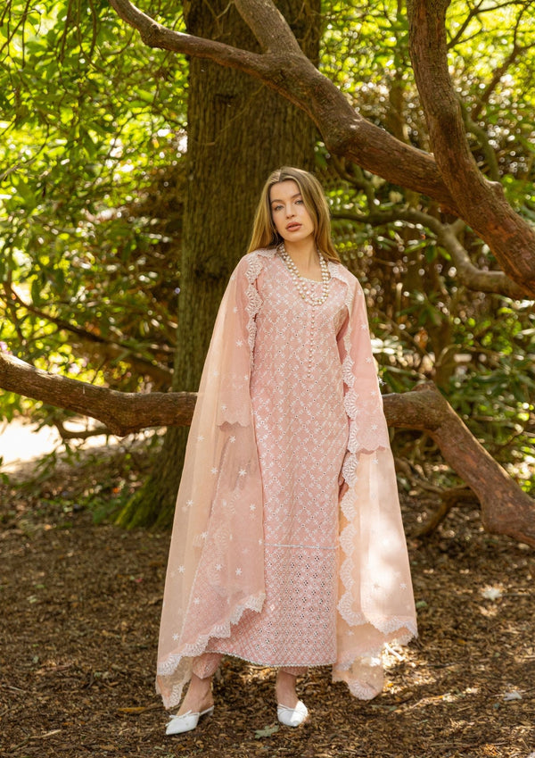 Rose Ash Chickenkari Suit MEERAKI