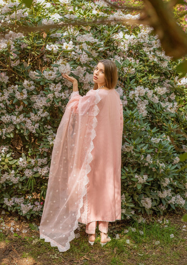 Rose Ash Chickenkari Suit MEERAKI