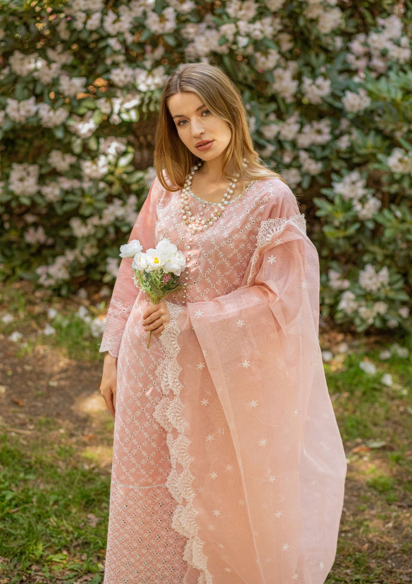 Rose Ash Chickenkari Suit MEERAKI