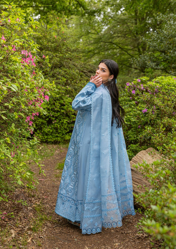 Faded blue Cutwork Embroidered suit MEERAKI