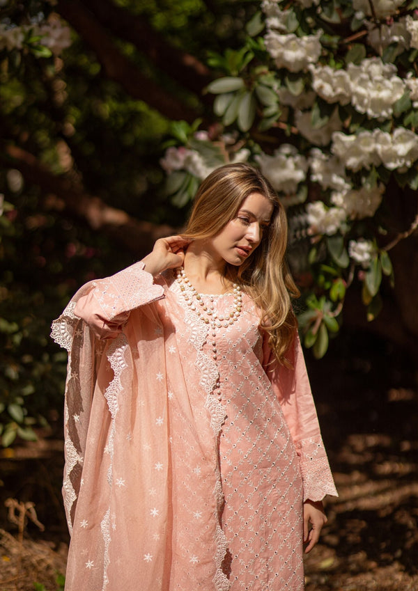 Rose Ash Chickenkari Suit MEERAKI