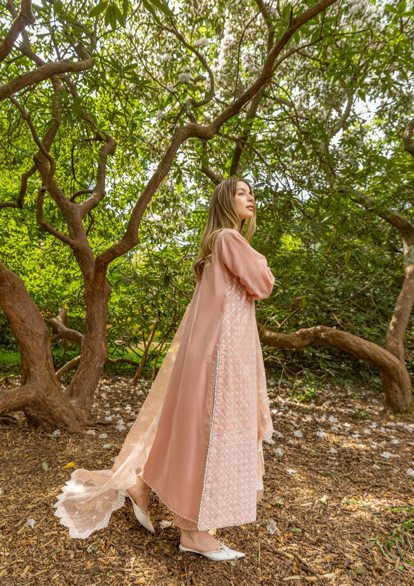 Rose Ash Chickenkari Suit MEERAKI