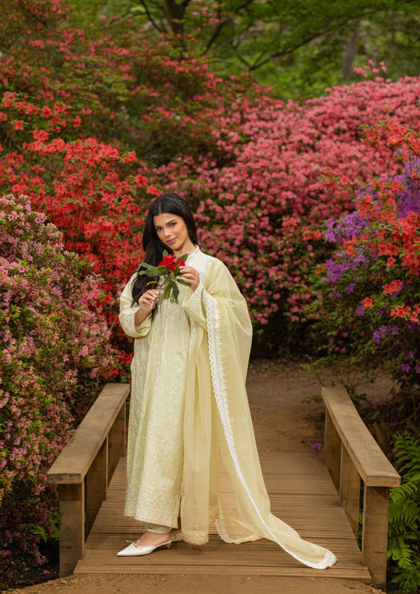 Warm Ivory Chickenkari suit MEERAKI