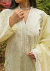 Warm Ivory Chickenkari suit MEERAKI