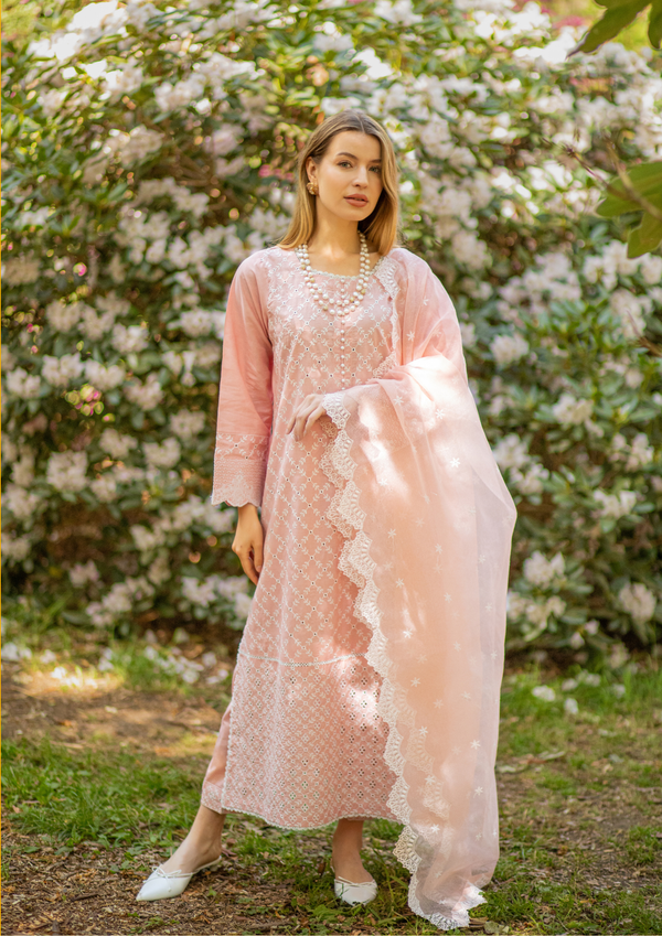 DUSTY ROSE PINK - 3PC CHIKANKARI SUIT MEERAKI