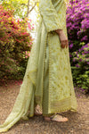 Lime Sage Chickenkari Suit MEERAKI