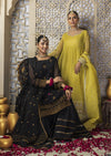 Black Nawabi Gharara MEERAKI